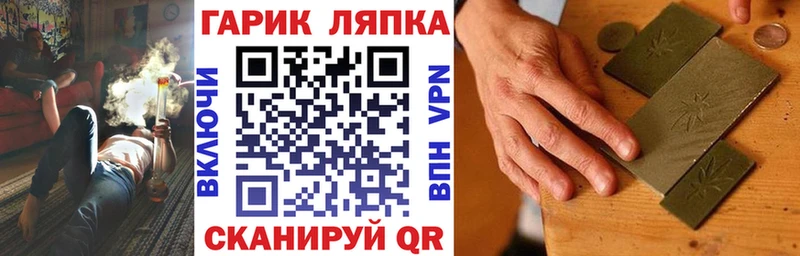 закладка  Сковородино  Гашиш Cannabis 