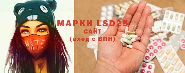 спиды Аркадак