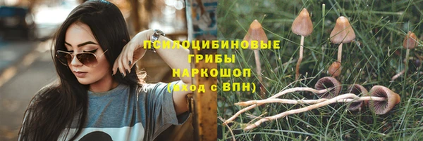 спиды Аркадак
